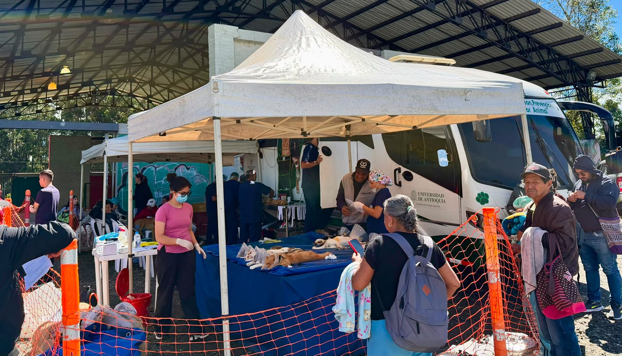 Categoria